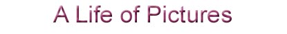 A Life of Pictures