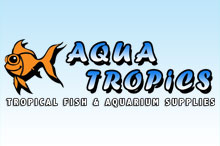 Aqua Tropics Logo